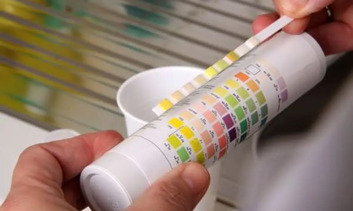 Bandelette réactive pour la mesure de dureté de l'eau, comparée à un tableau de couleurs.