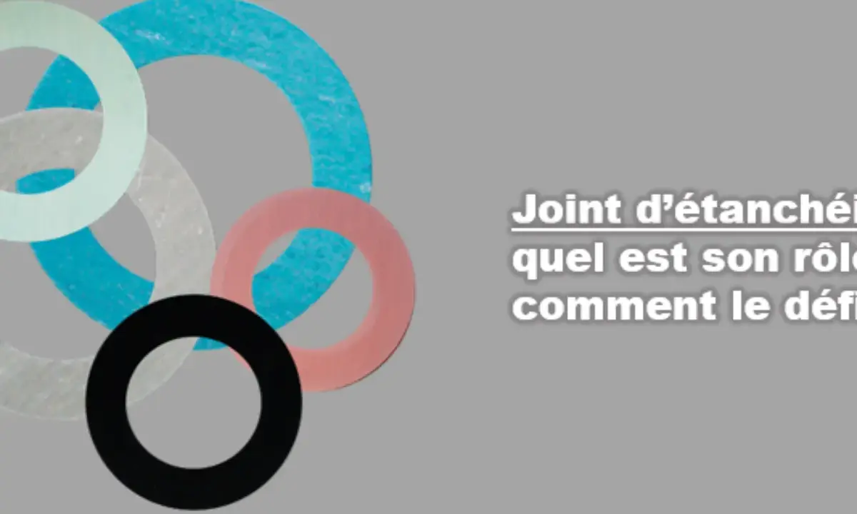Ensemble de joints d'étanchéité de différentes couleurs. Le texte mentionne "Joint d'étanchéité : quel est son rôle, comment le défi".