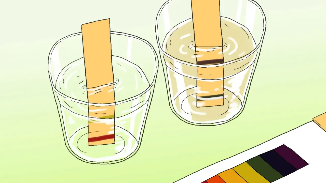 Bandes de papier réagissent dans deux verres d'eau, montrant des couleurs différentes pour tester le ph de l'eau. Une palette de couleurs est visible.