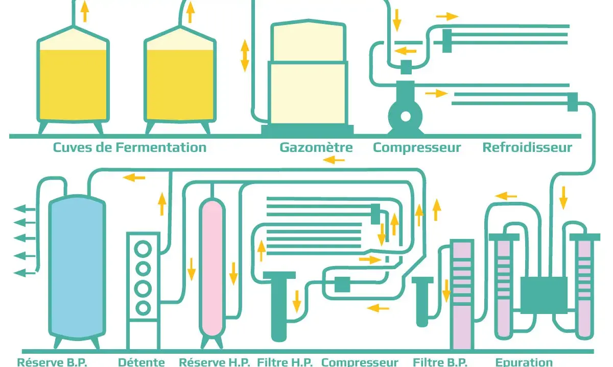 Schéma d'une installation de traitement de gaz, montrant la fermentation, la compression et la purification du CO2.