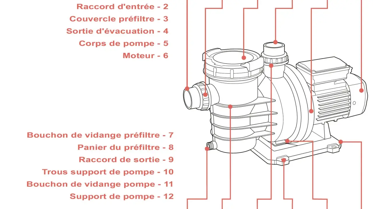 Schéma d'une pompe piscine surdimensionnée, montrant le corps, le moteur et les raccords d'entrée/sortie.