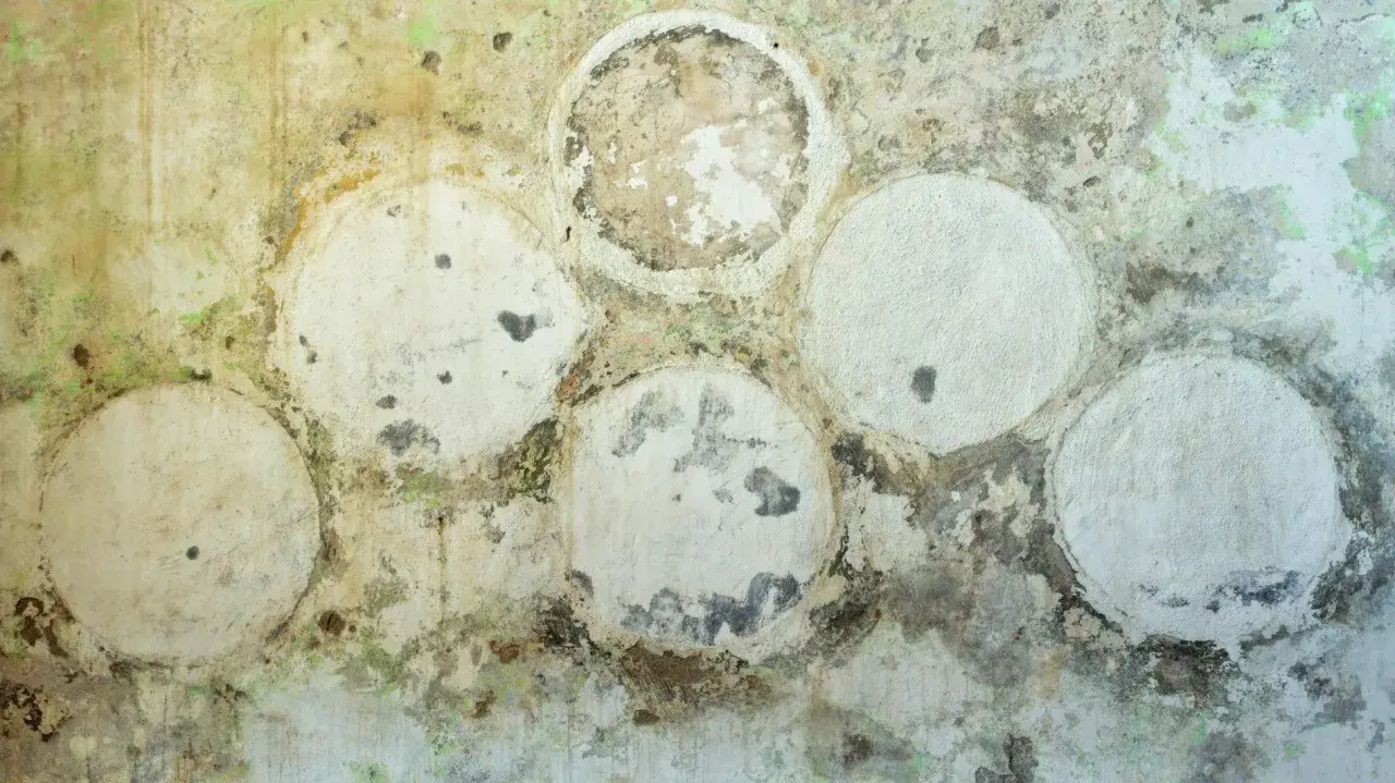Mur sale avec des taches vertes et noires. Des cercles blancs, certains abîmés, suggèrent un placo moisi. Faut-il le changer ?