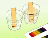 Bandes de papier réagissent dans deux verres d'eau, montrant des couleurs différentes pour tester le ph de l'eau. Une palette de couleurs est visible.