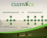 Comparaison entre orthophosphates et polyphosphates. Le danger des polyphosphates pour les cultures est souligné par leur structure complexe.