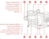 Schéma d'une pompe piscine surdimensionnée, montrant le corps, le moteur et les raccords d'entrée/sortie.