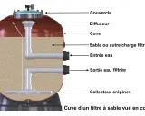 Coupe d'un filtre à sable de piscine, montrant le sable, les entrées/sorties d'eau et le collecteur. Essentiel pour le nettoyage du filtre à sable.