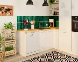 Cuisine moderne avec installation lave vaisselle encastrable, carrelage vert, plantes et four.