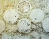 Mur sale avec des taches vertes et noires. Des cercles blancs, certains abîmés, suggèrent un placo moisi. Faut-il le changer ?