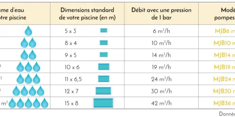 Tableau comparatif des volumes de piscine, dimensions, débits et modèles de pompe adaptés, incluant les options pompe piscine triphasé ou monophasé.