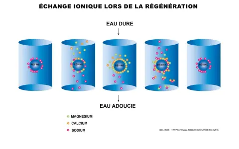 Schéma illustrant l'échange ionique dans un adoucisseur d'eau. La régénération adoucisseur tous les combien de temps dépend de la saturation des résines en calcium et magnésium.