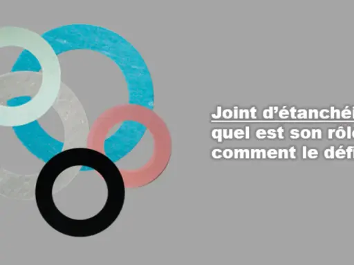 Ensemble de joints d'étanchéité de différentes couleurs. Le texte mentionne "Joint d'étanchéité : quel est son rôle, comment le défi".