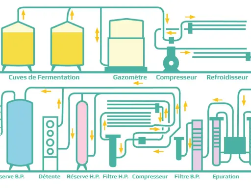 Schéma d'une installation de traitement de gaz, montrant la fermentation, la compression et la purification du CO2.