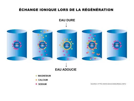 Schéma illustrant l'échange ionique dans un adoucisseur d'eau. La régénération adoucisseur tous les combien de temps dépend de la saturation des résines en calcium et magnésium.
