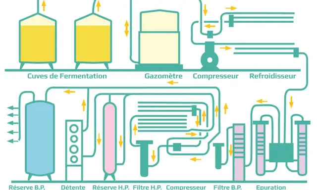 Schéma d'une installation de traitement de gaz, montrant la fermentation, la compression et la purification du CO2.