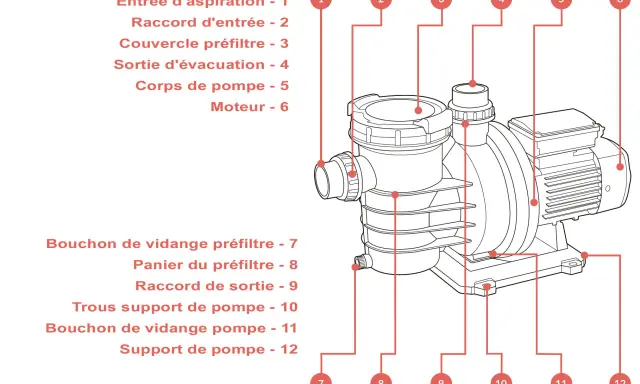 Schéma d'une pompe piscine surdimensionnée, montrant le corps, le moteur et les raccords d'entrée/sortie.