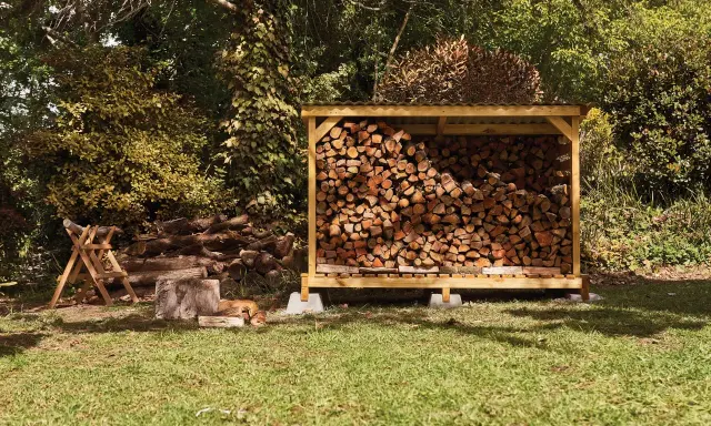 Abri bois de chauffage fait maison, rempli de bois sec. Un chien se repose à l'ombre.