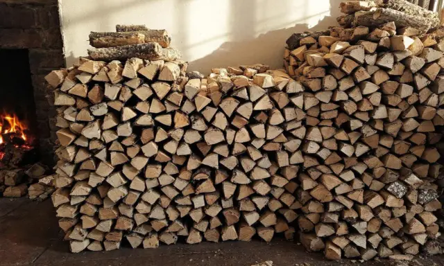Gros tas de bois de chauffage empilés, prêts à être utilisés dans la cheminée. L'image montre une grande quantité de bois coupé, parfait pour stocker le bois de chauffage.