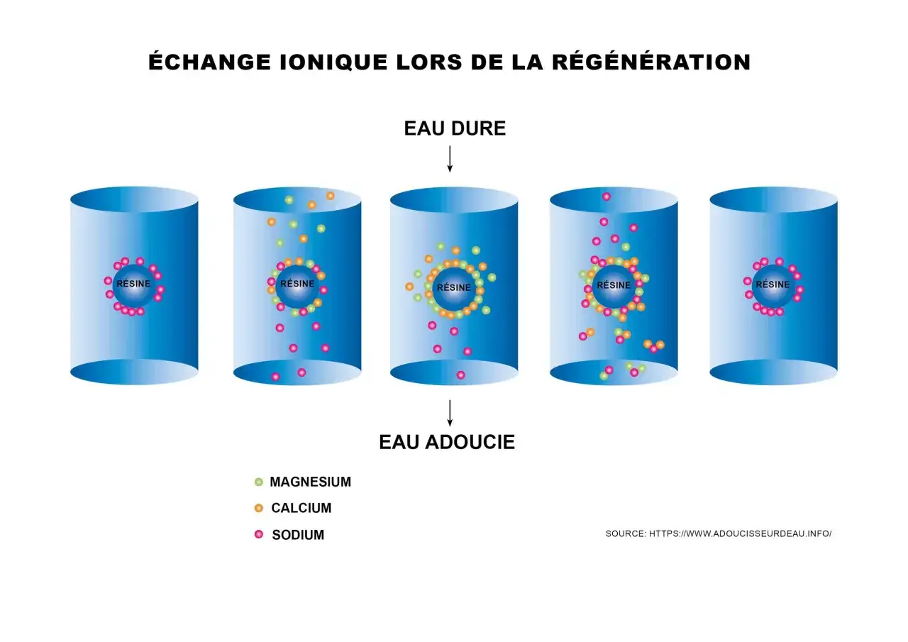 Schéma illustrant l'échange ionique dans un adoucisseur d'eau. L'eau dure (calcium, magnésium) passe sur la résine, puis est régénérée avec du sodium pour devenir de l'eau adoucie.