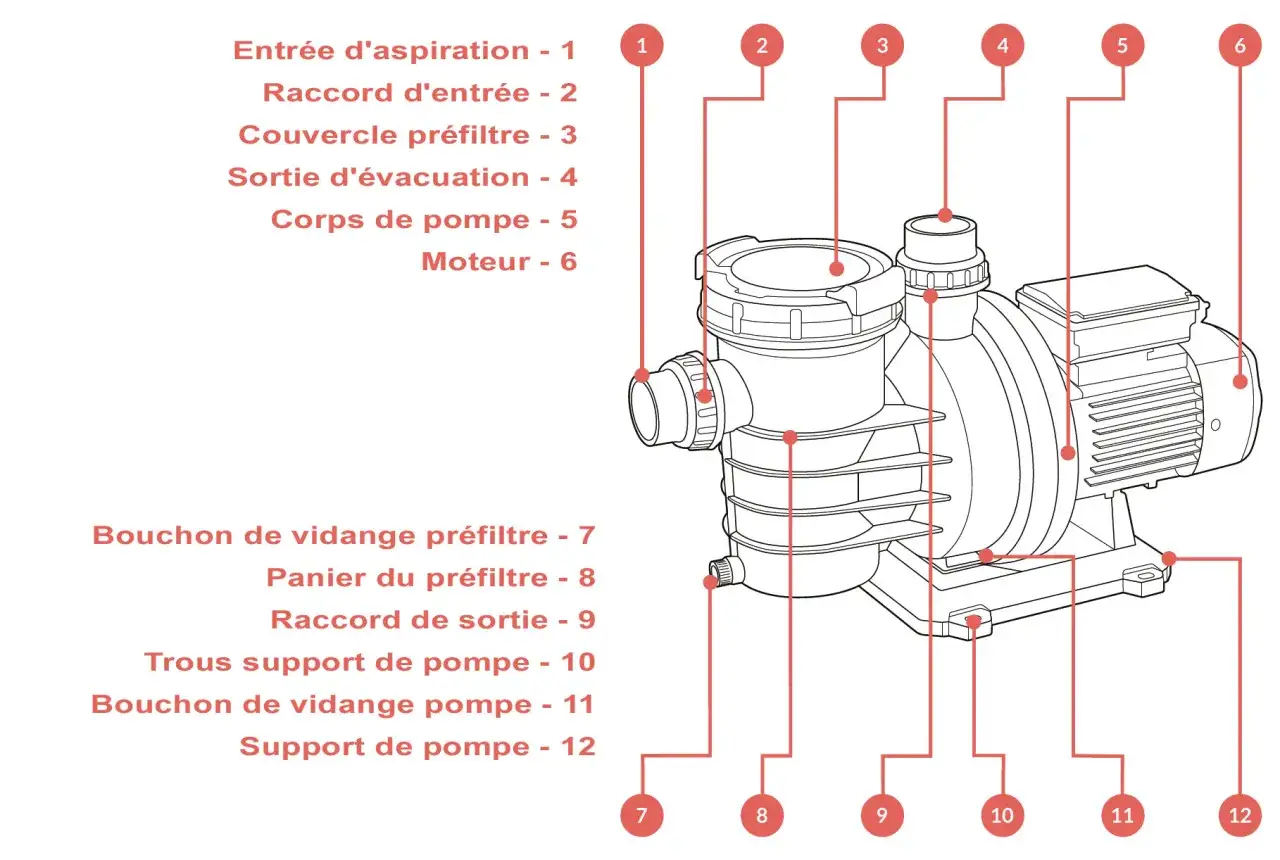 Schéma d'une pompe piscine surdimensionnée, montrant le corps, le moteur et les raccords d'entrée/sortie.