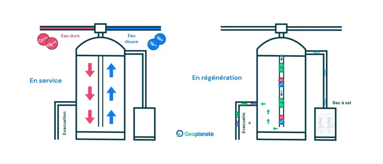 Schéma d'un adoucisseur d'eau : en service, l'eau dure entre et l'eau douce sort. En régénération, le système utilise du sel pour évacuer les ions calcium et magnésium.