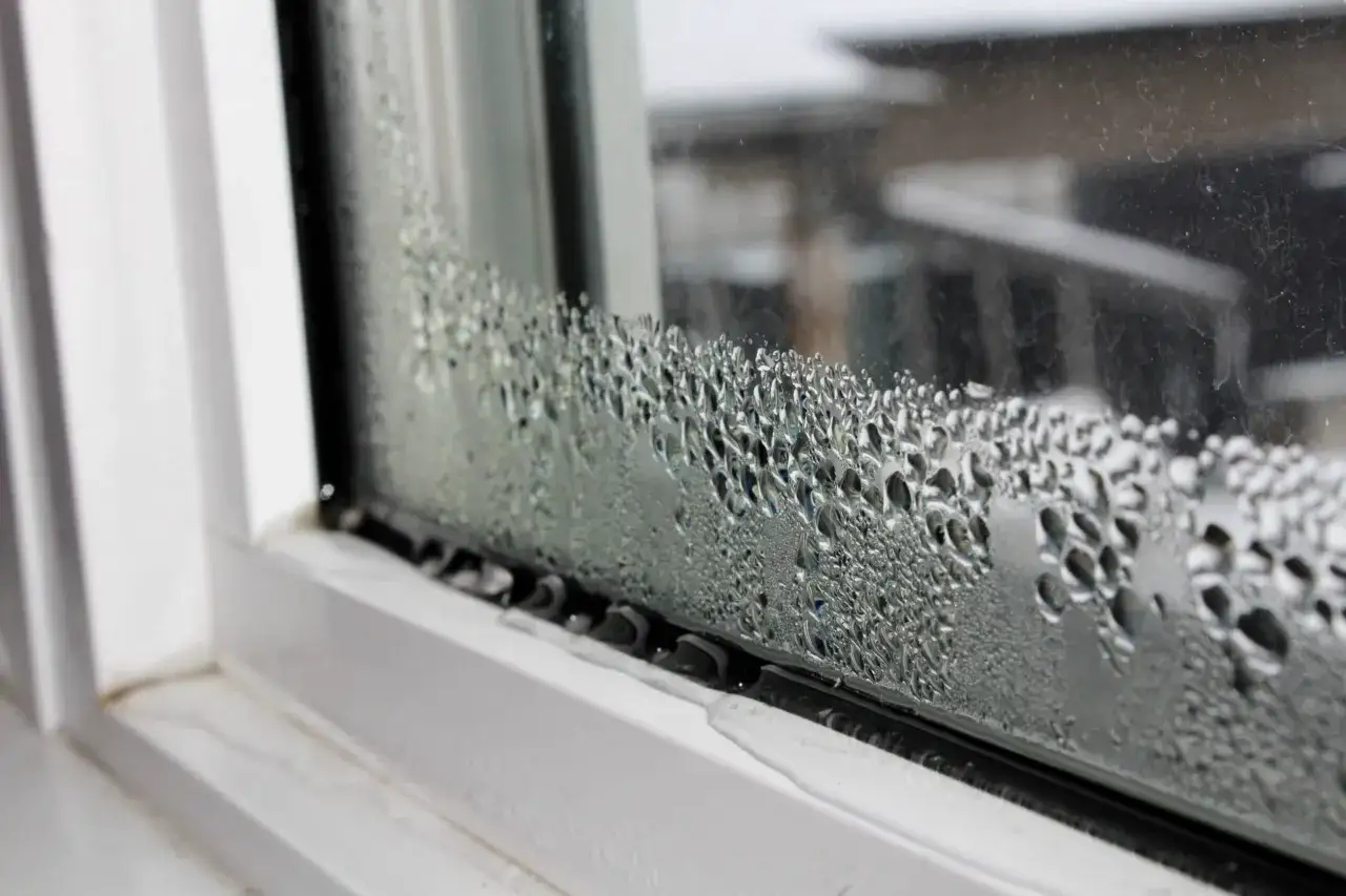 Gouttelettes d'eau sur une fenêtre, signe d'un taux humidité chambre 65%. L'eau s'accumule sur le rebord.